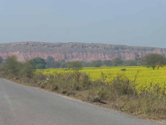 Bilder aus der Umgebung von Agra