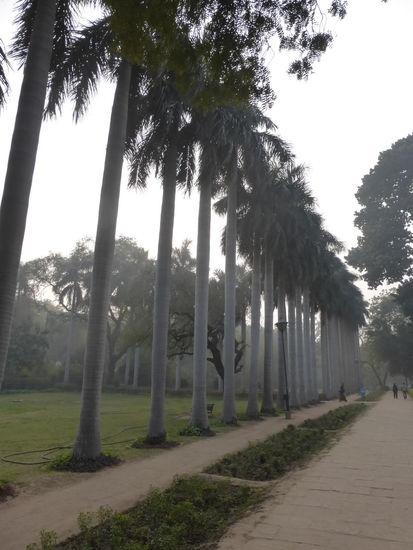 Unterwegs durch die Lodi Gardens