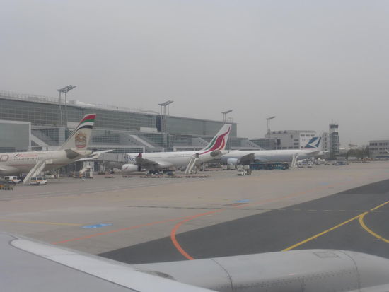 Vorne links eine Etihad in der mitte Sri Lankan Air und am Ende eine Maschine der Cathay Pacific aus Hong Kong in Frankfurt