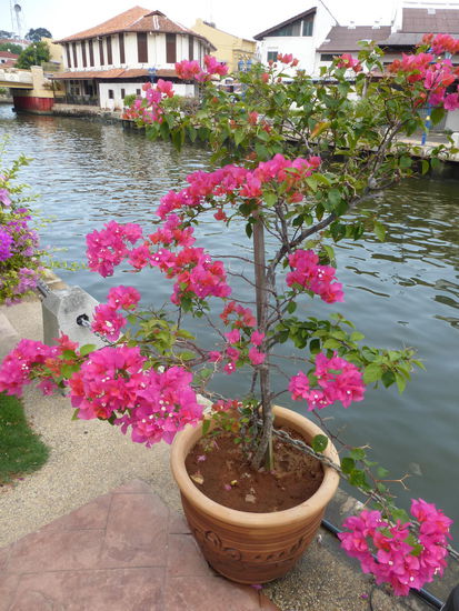 Uferpromenade Malakka