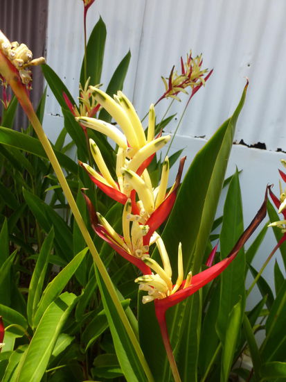 Uferpromenade Malakka