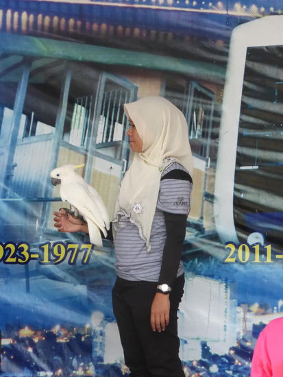 Hier konnte man Fotos mit bunten Vögeln machen lassen