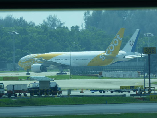 Scoot ist eine Billigtochter von Singapore Airlines
