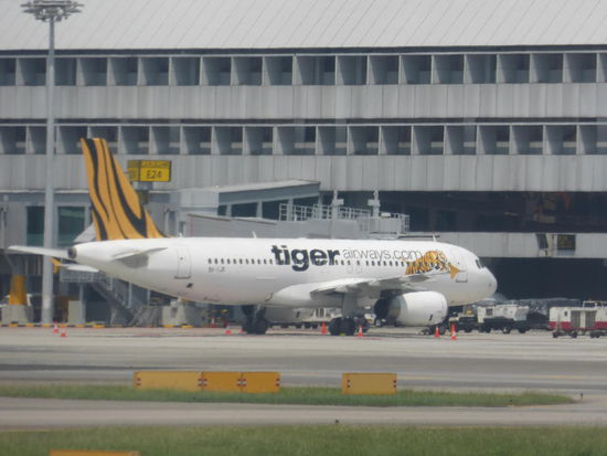 Tigerair ist eine weitere Billigfluggesellschaft mit Sitz in Singapure