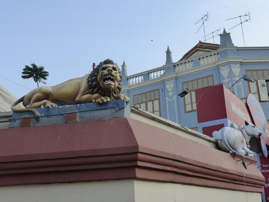 Weiter geht es durch Chinatown