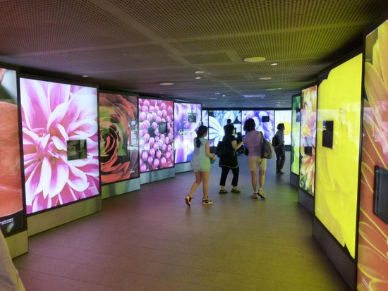 Auf geht es in die erste Halle in den Gardens by the Bay