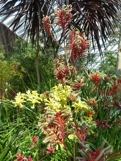 Und noch mehr Pflanzen