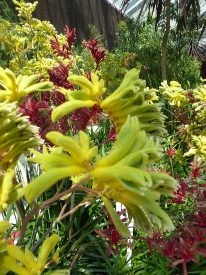 Sehr schön anzuschauen