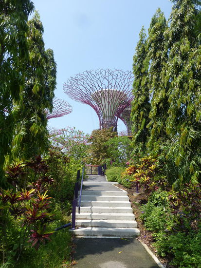 Außenbereich der Gardens by the Bay
