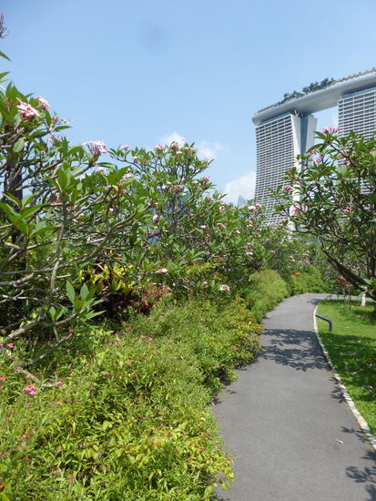 Außenbereich der Gardens by the Bay