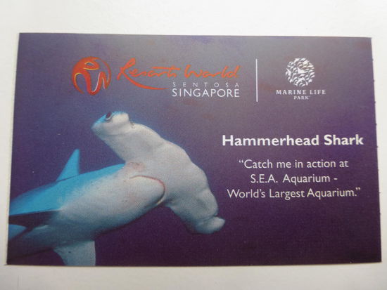 Eintritt stolze 38 SGD = 22 Euro