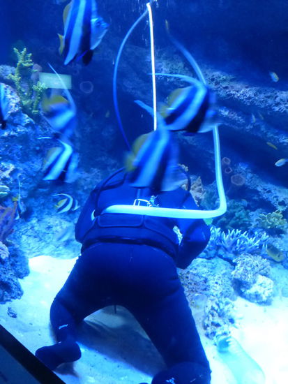 Sauberkeit muß auch hier im Aquarium sein !!!