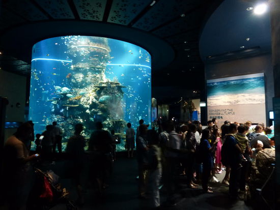 Ein weiteres Wasserbecken im S.E.A.