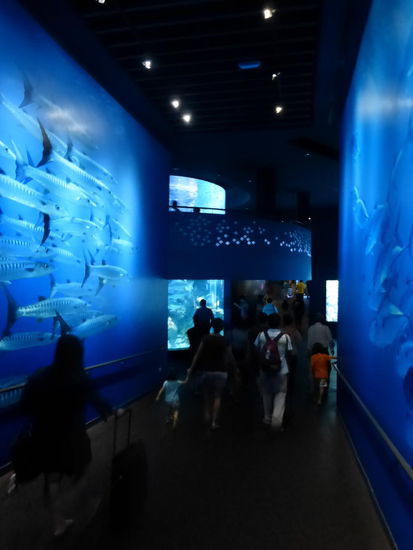 Weiter geht es durch das S.E.A. von Singapure