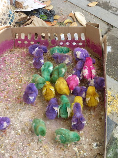 Ja auch in Yogyakarta feiern einige Menschen Ostern