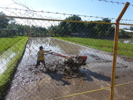 Fleißiger Bauer auf seinem Feld am frühen Morgen