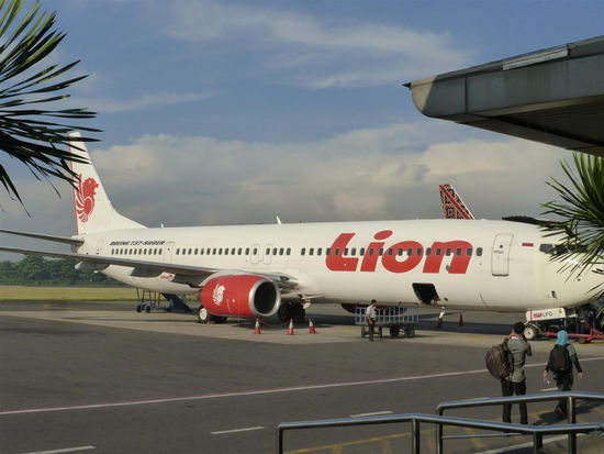 Auch Lion darf natürlich nicht fehlen