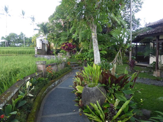 Auf geht es zu den Zimmern durch die Gartenanlage des Hotels