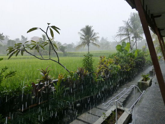 Und gegen mittag der fast tägliche Regenschauer der meistens nach 30 Minuten wieder vorbei war
