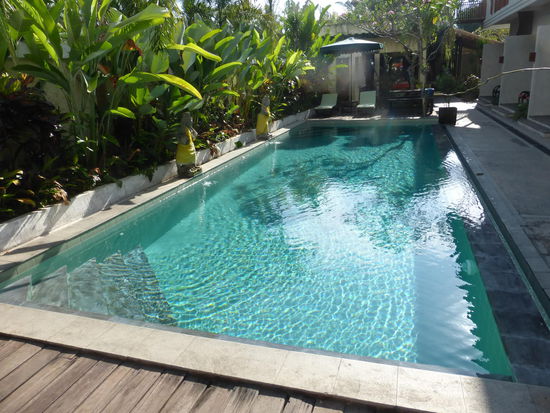 Der Pool direkt vor meinem Zimmer wo ich jeden Morgen vor dem Frühstück einige Runden gedreht habe