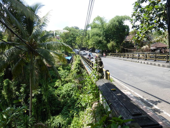 Auf den Weg von meinem Hotel ins ca. 1 km entfernte Stadtzentrum von Ubud