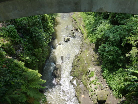 Auf den Weg von meinem Hotel ins ca. 1 km entfernte Stadtzentrum von Ubud