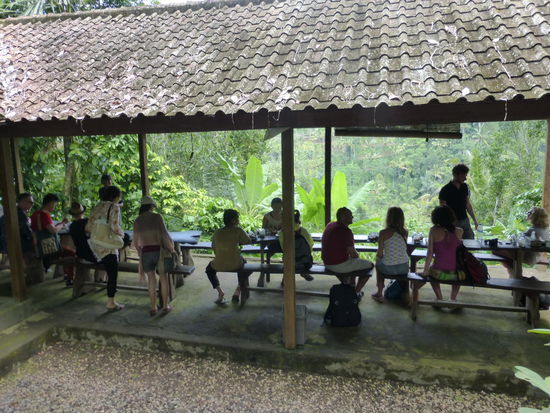 Kurze Pause am Ende der Kaffee Plantage wobei diese Besucher nicht zu mir gehörten