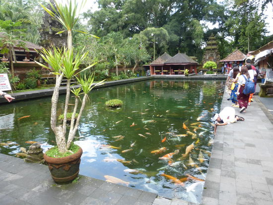Tirta Empul Tempel Bali