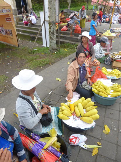 Auch Mais gibt es im Angebot