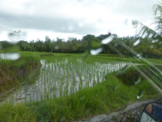 Und weiter geht es über die Insel Bali