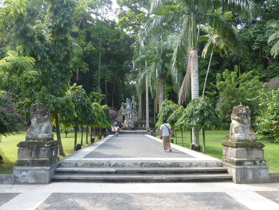 Es gibt auf Bali mehrere Affen Wälder u.a. auch in Ubud aber ich besuchte den Sangeh Monkey Forest der zu den ältesten auf Bali gehört . Eintritt 25000 IDR = 1,58 Euro