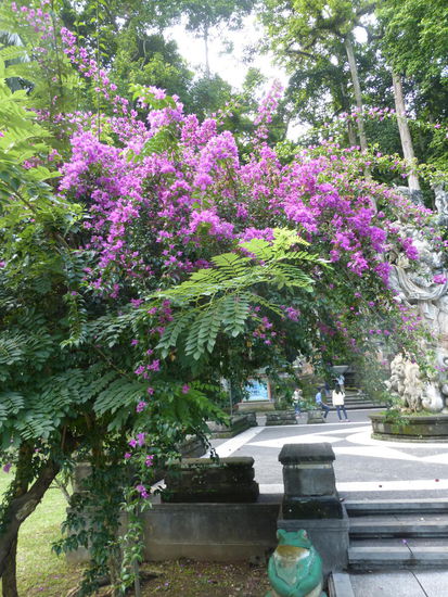 Eingangsbereich Sangeh Forest auf Bali