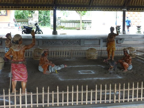 Nachbildung einer der berühmten Hahnenkämpfe auf Bali die heute eigentlich nicht mehr erlaubt sind aber hin und wieder noch vorkommen