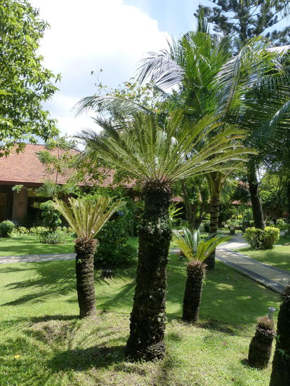 Weiter geht es durch die Gartenanlage meines Badehotels auf Bali