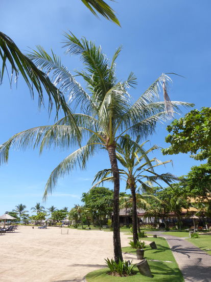Der Strandabschnitt des Hotels auf Bali