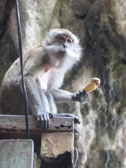 Ihm schmeckt das Eis !!  