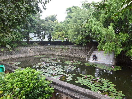 Lotusblumenteich am Tempel von Kaiser Dinh Tien Hoang