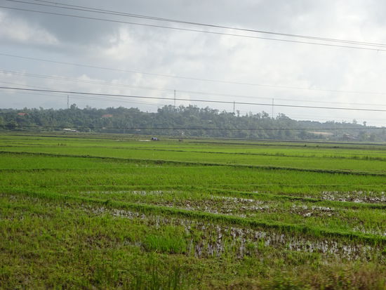 Reisefelder in Zentralvietnam