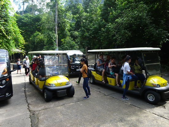 Weiter ging es mit diesen kleine Elektrobussen