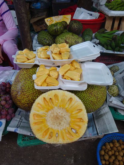 Egal ob in Südindien oder in Südostasien die Durian Frucht ( Stinkfrucht ) ist und bleibt mein absoluter Favorit !! 