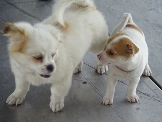 Na wer ist der stärkere ?? 