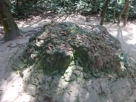 Kaum zu erkennen und sehr gut angepaßt an die Umgebung - die Tunnel von Cu Chi