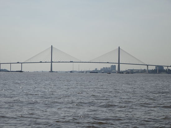 Und schon geht es los auf dem Boot durchs Delta