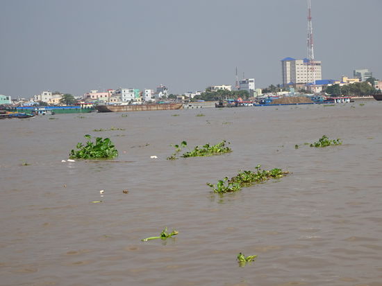 Fahrt mit dem Boot durchs Mekong Delta bei My Tho
