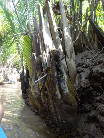 Fahrt mit dem Boot durchs Mekong Delta bei My Tho