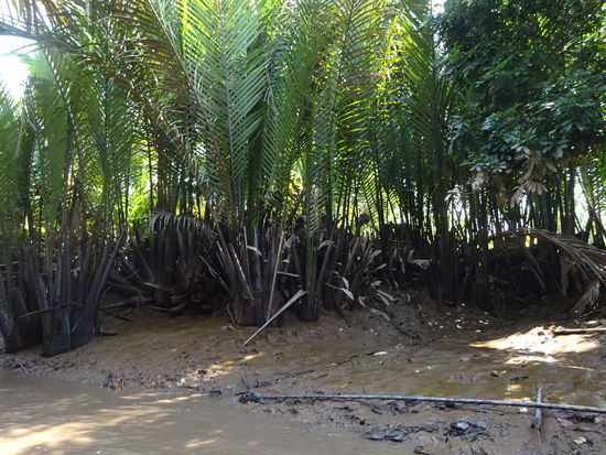 Fahrt mit dem Boot durchs Mekong Delta bei My Tho