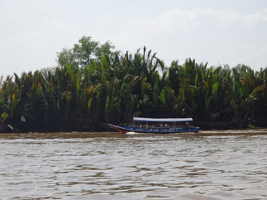 Es lichtet sich wieder etwas und weiter geht es  mit dem Boot durchs Mekong Delta bei My Tho