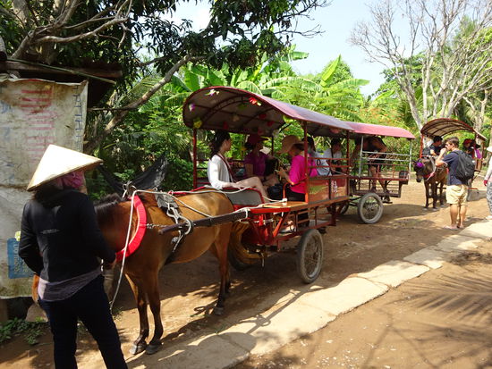 Das gehörte wohl irgendwie zur Tour dazu aber ich fand es sinnlos einfach nur mit dem Pferdewagen einmal die Straße hoch und wieder runter zu fahren. Touristennepp 