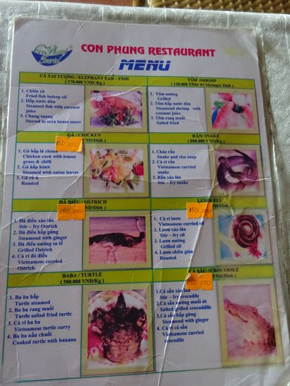 Interessante Speissekarte : Von Strauss über Schlange bis zu Krokodil war alles dabei !! 