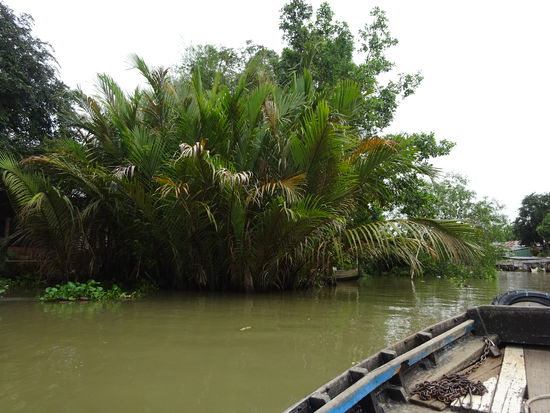 Es wird wieder etwas enger in einen der unzähligen Seitenarme des Mekong